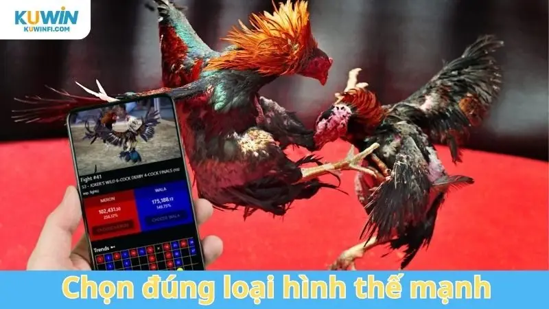 Chọn đúng loại hình thế mạnh